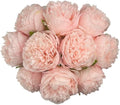 2 Bouquet 10Heads Artificial Fake Peony Flowers Silk Faux Flower for Home Office Party Wedding Decorations by SOFTKIDS
