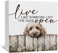 Goldendoodle Wooden Box Sign, Rustic Farmhouse Live Like Someone Left the Gate Open Signs for Home Decor,Farm Dog Office Kitchen Bedroom Decor,Goldendoodle Gifts for Kids Women Men,8x8 by Nitelat