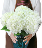 6PCS White Large Silk Hydrangea Flowers, 20 in Full Faux Hydrangea Artificial Flowers with Stems Leaves for Fake Lifelike Spring Bouquets Wedding Party Table Centerpieces Indoor (White) by IYGWQWO
