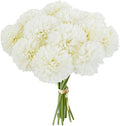 Mandy's 12pcs Artificial Ivory Ball Chrysanthemum Flowers by Mandys