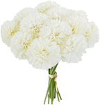 Mandy's 12pcs Artificial Ivory Ball Chrysanthemum Flowers by Mandys