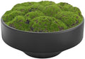 NAHARO New Moss Bowl, Handmade Ceramic. 11" Artificial Moss Bowl Centerpiece for Home Decoration, Living Room, Office by NAHARO