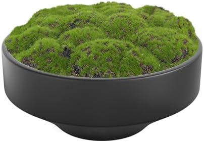 NAHARO New Moss Bowl, Handmade Ceramic. 11" Artificial Moss Bowl Centerpiece for Home Decoration, Living Room, Office by NAHARO