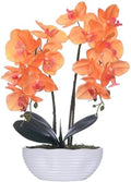 Large Artificial Orchid Arrangement in Oval Ribbed Ceramic Pot, Orange by YSZL