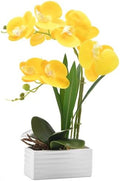 Artificial Real Touch Orchid Flowers with White Ceramic Vase, Yellow by FuleHouzz
