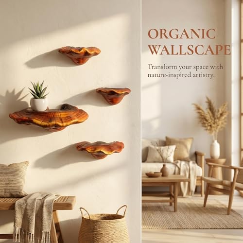 5pcs Cute Mushroom Shelves, Hanging Whimsical Cottage Core Home Wall Decor, Leopard Gecko Tank Accessories (Small) - Image 5