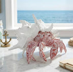 VVGIFTS Hermit Crab with Shell Beach Coastal Statue for Home Shelf Decor - Image 3