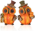 GoGnome 2-Pack Resin Thanksgiving Owl Figurine 4.7'' - Thanksgiving Table Decor Haverst Pumpkins Corns Decorations Indoor Autumn Centerpieces Favors Gifts for Women All Ages (Owls) by GoGnome