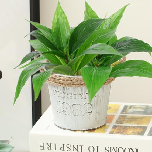 CATTREE Artificial Agave Plants Outdoor Fake Shrubs Faux Grass Plastic Leaves Greenery Bushes Plant for Home Decor Garden Wedding Party Decorations Indoor Yard UV Resistant Planter Filler Green 4 Pack - Image 2