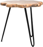 19.5 Inch Live Edge Side Table, Wood Freeform Small End Table - Image 4