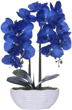 Large Artificial Orchid Arrangement in Oval Ribbed Ceramic Pot, Navy Blue by YSZL