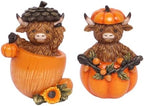 Fall Decorations for Home, Highland Cow Pumpkins Statues Cute Figurines by YeehaWhoo