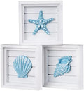 LODOCAVE Blue Seashell Starfish Coastal Wall Decor, 6.3"x6.3" by LODOCAVE