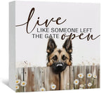 Live like Someone Left the Gate Open Belgian Malinois Wooden Signs,Farm Cottagecore Animal Office Kitchen Bedroom Decor,Rustic Farmhouse Home Decor Signs,Belgian Malinois Gifts for Women by Nitelat