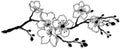 LIYOUYA Cherry Blossom Branch Metal Wall Decor - Rustic Farmhouse Room Decor Simple Japanese Black Wall Art Home Decor for Living Room, Bathroom, Bedroom, Dining Room (Black) by LIYOUYA