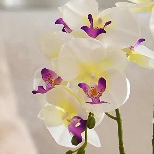 Large Artificial Orchid Arrangement in Oval Ribbed Ceramic Pot, White - Image 2