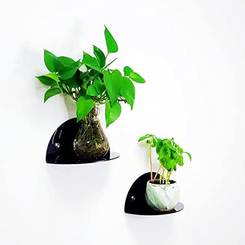 ROYALITA 2-Pack Small Acrylic Shelves Room Decor Floating Shelves, Black - Image 7