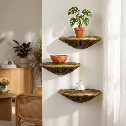 3pcs Cute Mushroom Shelves, Hanging Whimsical Cottage Core Home Wall Decor, Leopard Gecko Tank Accessories (Large) - Image 2