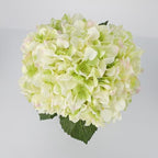 Garvee Artificial Green Hydrangea Flowers Arrangement with Vase, 6 PCS Silk Hydrangea Bouquet Centerpiece with Faux Water, Realistic Fake Flowers for Table Centerpiece, Home, Office, Wedding Decor - Image 5