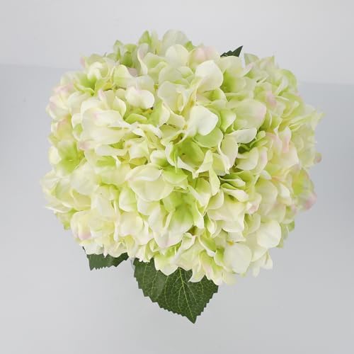 Garvee Artificial Green Hydrangea Flowers Arrangement with Vase, 6 PCS Silk Hydrangea Bouquet Centerpiece with Faux Water, Realistic Fake Flowers for Table Centerpiece, Home, Office, Wedding Decor - Image 5