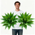 Artificial Agave Faux Agave Fake Greenery Outdoor Artificial Plants Fake Plants for Indoor Home Decor Plastic Plants Outdoor Decor Front Porch Decor Simulation Plants 22"(2Pcs Green) No Vase by ENALGRE