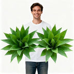 Artificial Agave Faux Agave Fake Greenery Outdoor Artificial Plants Fake Plants for Indoor Home Decor Plastic Plants Outdoor Decor Front Porch Decor Simulation Plants 22"(2Pcs Green) No Vase by ENALGRE