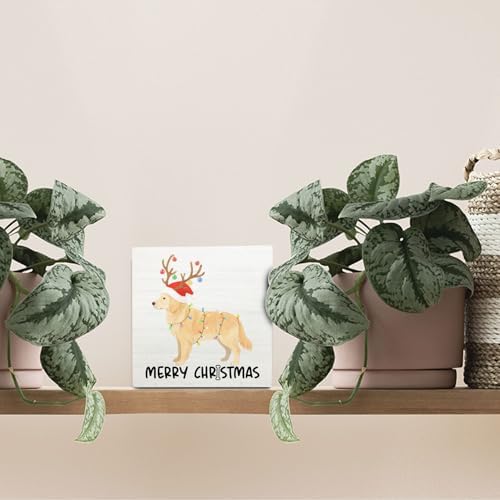 Golden Retriever Merry Christmas Wooden Box Sign Desk Decor, Gifts for Golden Retriever Lovers, Christmas Dog Wood Block Sign for Home Office Desk Table Shelf Wall Decorations, 5x5 Inch - Image 3