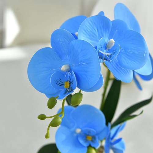 Artificial Real Touch Orchid Flowers with White Ceramic Vase, Blue - Image 6