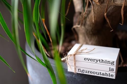 Farmhouse Motivational Wooden Office Desk Decor, Cute Decorative Books for Shelf Decoration, Inspirational Gifts for Women Men - Everything is Figureoutable Sign - Image 5