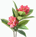 XIYUAN 35.5 Inch Artificial Frangipani Flower 2 Pack Lifelike Real Touch Artificial Plumeria Flowers,for Home Vase Garden Decoration Party Wedding Bouquet (Red) by XIYUAN