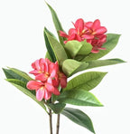 XIYUAN 35.5 Inch Artificial Frangipani Flower 2 Pack Lifelike Real Touch Artificial Plumeria Flowers,for Home Vase Garden Decoration Party Wedding Bouquet (Red) by XIYUAN