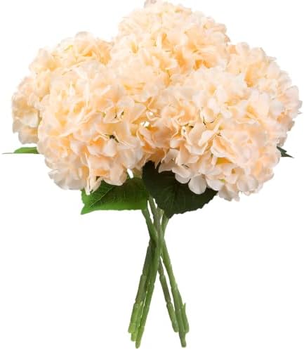 6PCS Large Silk Hydrangea Flowers, 20 in Full Faux Hydrangea Artificial Flowers with Stems Leaves for Fake Fall Bouquets Porch Party Wreath Anniversary Indoor Outdoor (Cream Champagne) by IYGWQWO