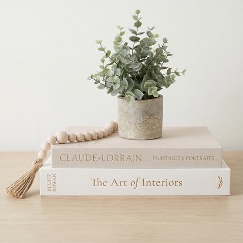Vine Creations Decorative Books - Set of 2 Linen Hardcover Boxes with Storage - Aesthetic Fake Books for Decoration for Home, Shelf, Bookshelf Decor, Coffee Table Decor, as Storage or Keepsake Box by VineCreations