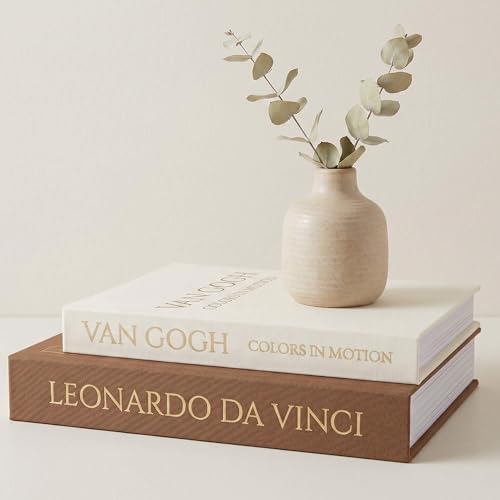MAOBUYOU Decorative Storage Books Set of 2, Linen Cover, Gold Letters, Beige and Brown by MAOBUYOU