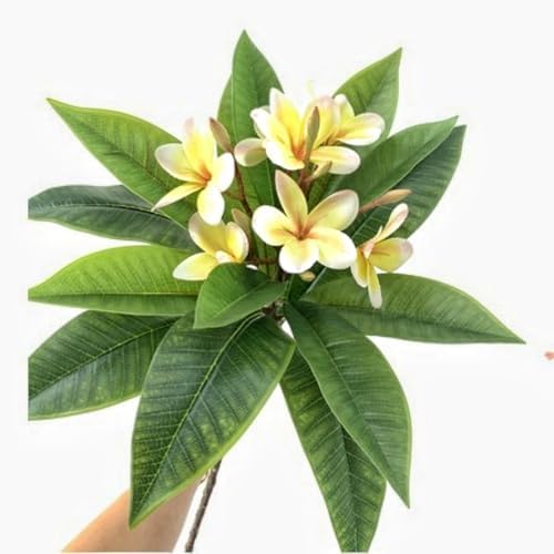 XIYUAN 35.5 Inch Artificial Frangipani Flower 2 Pack Lifelike Real Touch Artificial Plumeria Flowers,for Home Vase Garden Decoration Party Wedding Bouquet (Yellow) - Image 3