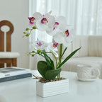 Artificial Real Touch Orchid Flowers with White Ceramic Vase, White - Image 5
