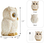 Baitiane Owl Statue Home Decor, Decorative Owls Figurine for Bookshelf - Image 5