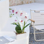 Artificial Real Touch Orchid Flowers with White Ceramic Vase, White - Image 7