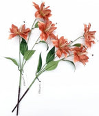 Artificial Lily Flowers, Vintage Fake Silk Flower Long Stems Stargazer Lilies Real Touch Faux Plants Stem Tiger Bouquets for Home Decor Indoor Outdoor Wedding Party Floral DIY Decorations Brown 4 Pack - Image 5