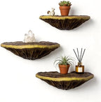 3pcs Cute Mushroom Shelves, Hanging Whimsical Cottage Core Home Wall Decor, Leopard Gecko Tank Accessories (Large) by Unknown