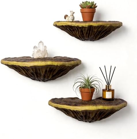 3pcs Cute Mushroom Shelves, Hanging Whimsical Cottage Core Home Wall Decor, Leopard Gecko Tank Accessories (Large) by Unknown