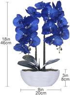 Large Artificial Orchid Arrangement in Oval Ribbed Ceramic Pot, Navy Blue - Image 6