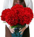 6PCS Large Silk Hydrangea Flowers, 20 in Full Faux Hydrangea Artificial Flowers with Stems Leaves for Fake Bouquets Home Valentines Day Xmas Party Christmas Centerpieces Arrangements (Red) by IYGWQWO