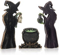 Halloween Witch Decor, Halloween Decorations Indoor for Home by Unknown