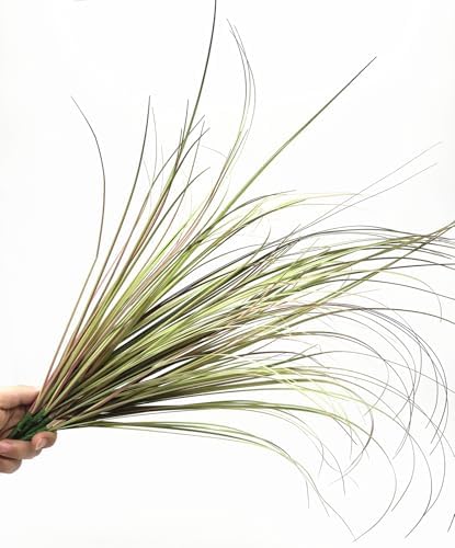 CATTREE Fake Wheat Grass Plants Artificial Greenery Tall Shrubs 16 Bundles, Outdoor Decor Faux Plastic Leaves Bushes for Indoor Office Garden Wedding Party Vase Filler DIY Decorations, Purple 16 Pcs - Image 6