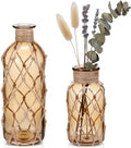 Chuangdi Set of 2 Coastal Glass Flower Vase with Boho Rope, Light Brown by Chuangdi