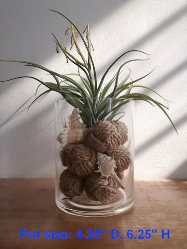 Elkpruu 10PCS Mini Orbs Decorative Balls for Centerpiece Bowls, Christmas Decorative Rope Balls for Bowls, Vase Filler, Decorative Bowl fillers for Farmehouse Coastal Nautical Table Decor - Image 3