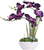 Large Silk Potted Orchid Arrangement in Oval Ribbed Ceramic Pot Dark Purple by YSZL