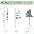 Giegxin 180 Pcs Mixed Artificial Eucalyptus Leaves Stems Bulk Green - Image 2