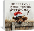 Christmas Highland Cow Bathroom Decor Sign - Farmhouse Western Christmas Animal Bathroom Decor,Rustic Farm Animal He Sees You When You're Pooping Signs,Highland Cow Gifts for Women by Nitelat